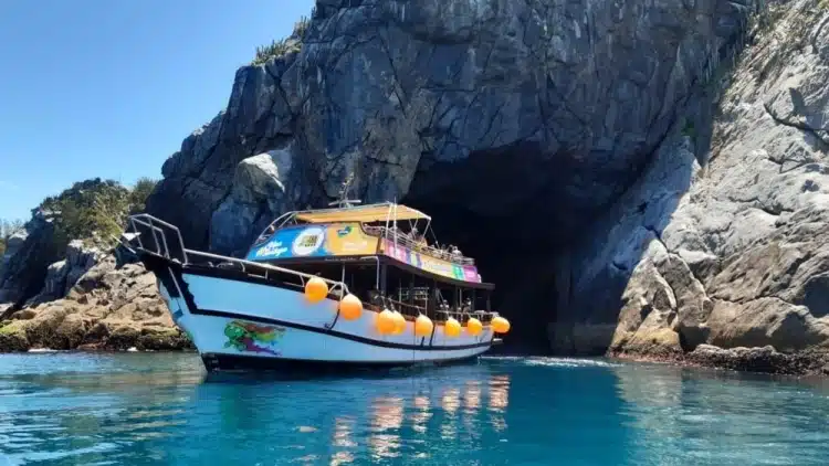 Dezembro no Rio: Clima Perfeito Para Um Passeio de Barco Com Amigos e Família
