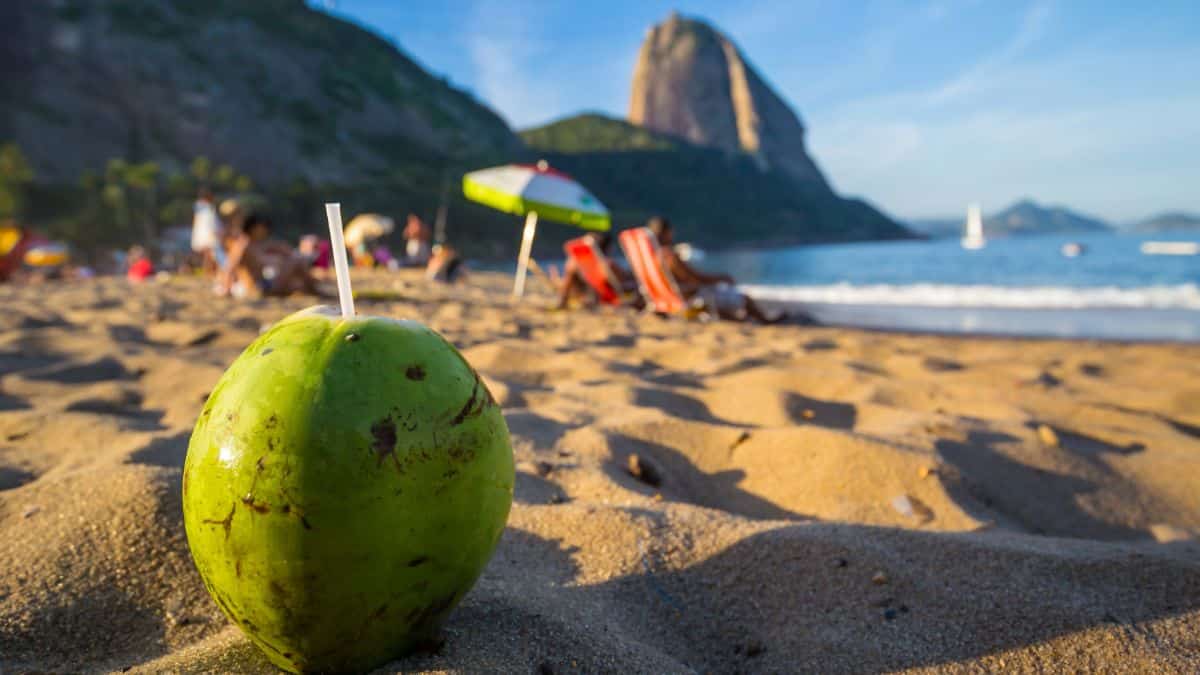 Passeio de barco no Rio para turistas estrangeiros