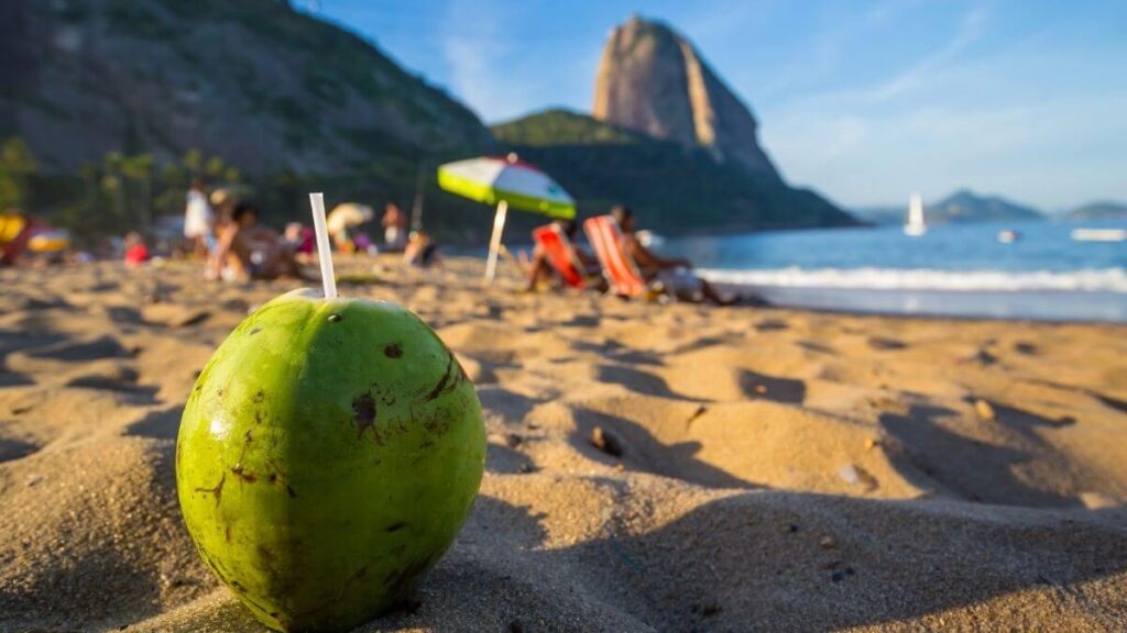 O Que Fazer no Rio de Janeiro Durante o Rock in Rio 2026: Guia para Turistas do Festival
