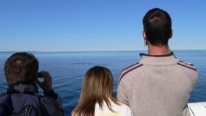 Qual a Melhor Época do Ano para Fazer Passeio de Barco no Rio de Janeiro