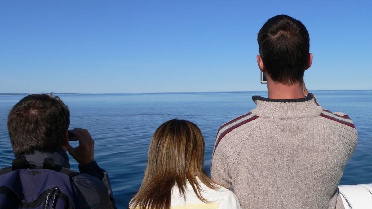 Qual a Melhor Época do Ano para Fazer Passeio de Barco no Rio de Janeiro